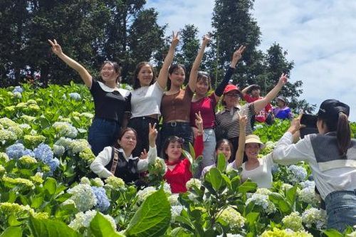 Đến Bắc Hà khám phá thiên đường thung lũng hoa, thưởng thức đặc sản thắng cố