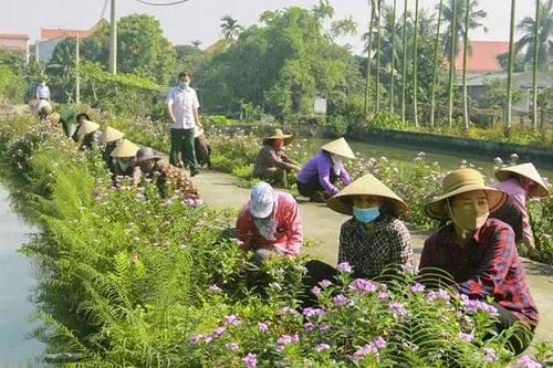Hướng tới nông thôn văn minh, hiện đại