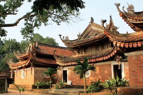 Sen nở Phật hiện