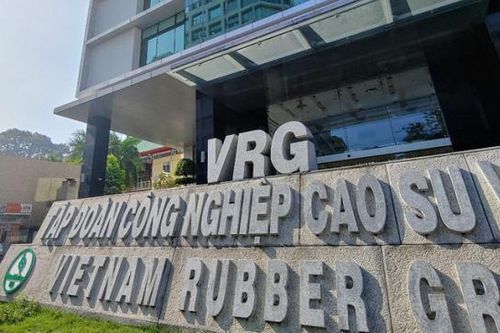 Lãi Tập đoàn Cao su Việt Nam (GVR) quý đầu năm tăng gấp 2,5 lần nhờ giá mủ tăng cao