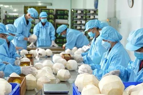 Thu hút đầu tư vào nông nghiệp: Vì sao doanh nghiệp chưa mặn mà?