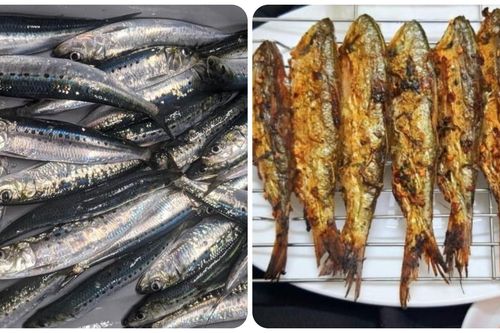 Loại cá nhỏ nhưng chứa nhiều Omega-3 và canxi bạn nên ăn thường xuyên
