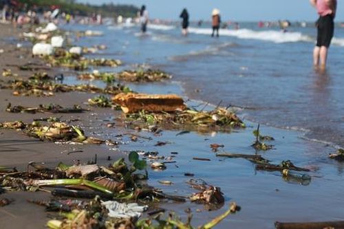 Rác thải tràn lan dọc bờ biển Rạng Đông ở Nam Định, du khách vẫn vô tư tắm