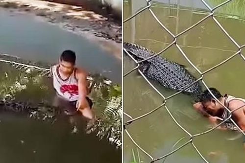Tưởng con cá sấu là bức tượng, du khách tới ngồi cạnh để chụp ảnh và cái kết