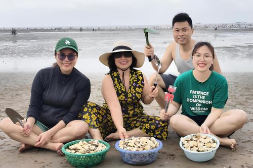 Cào ngao thành 'trend' ở bãi biển Hải Phòng dịp lễ