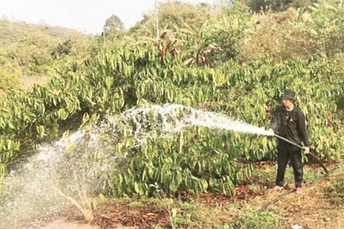 Dự báo hạn hán, thiếu nước dựa trên công nghệ viễn thám