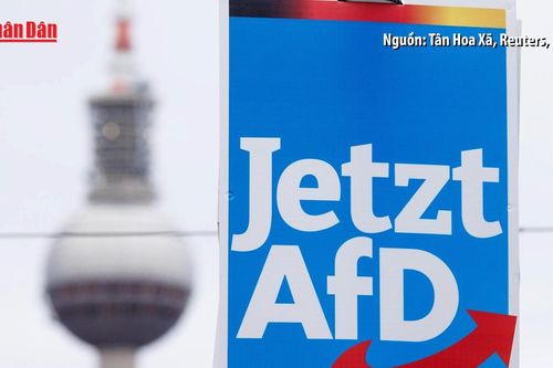 Đức liệt đảng cực hữu AfD vào danh sách 'tổ chức cực đoan'