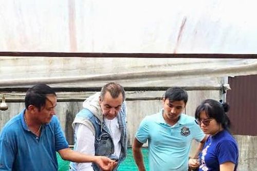 Ca cao khan hiếm giữa 'cơn sốt' giá kỷ lục