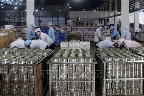 Ngân hàng dự phòng kịch bản ứng phó tác động thuế quan Hoa Kỳ