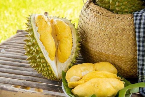 Bí quyết chọn sầu riêng ngon: Nhận biết quả chín cây, hạt lép, cơm dày không tẩm hóa chất