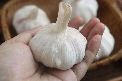 Hành tỏi giúp thải độc, giảm mỡ gan... nhưng không phải ai cũng nên dùng hàng ngày