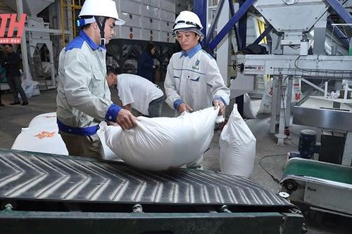 Cải cách vì một môi trường đầu tư bền vững