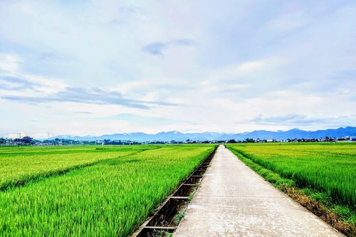 Bản tin Dự báo thời tiết ngày 4/5/2025