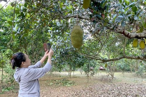 Người cao tuổi với công nghệ số
