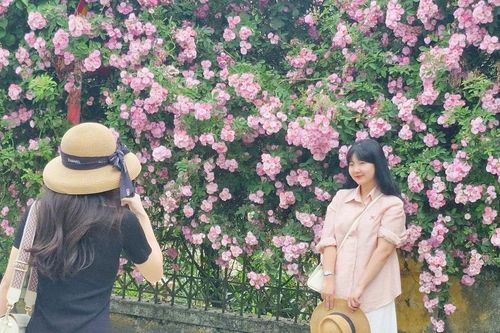 Du khách mê mẩn trước vẻ đẹp mùa hoa tầm xuân trên vùng cao Y Tý