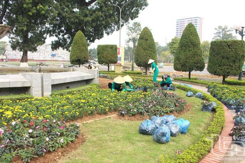 Nỗ lực kiến tạo không gian xanh