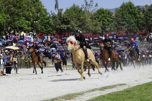 Độc đáo đua ngựa giữa núi rừng Bắc Hà