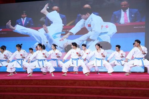 Mục tiêu của các đội tuyển võ tại SEA Games 33