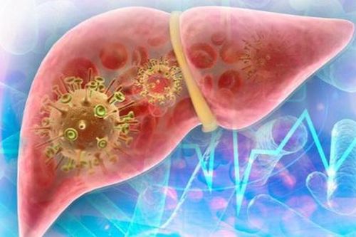 5 loại thuốc nam rẻ tiền bán đầy chợ Việt, mùa hè dùng theo cách này để làm mát gan, thải độc gan hiệu quả