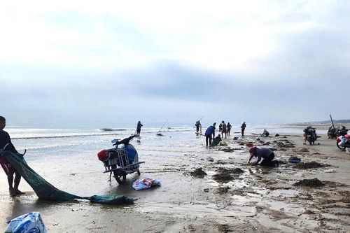 Ngư dân Hà Tĩnh 'gác lễ', vươn khơi bám biển