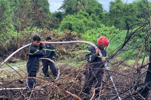 Bà Rịa - Vũng Tàu: Hơn 200 người dập tắt đám cháy rừng tại Di tích lịch sử Bàu Sen