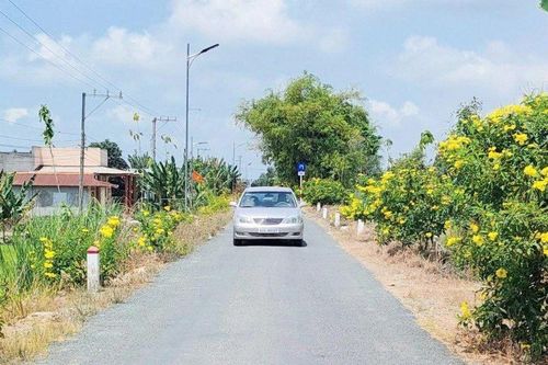 Nông thôn mới ở Đồng Tháp Mười