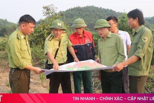 Hà Tĩnh chủ động phòng chống cháy rừng ngay từ đầu mùa nắng
