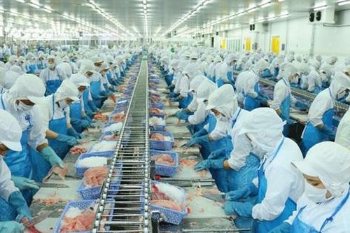 Vĩnh Hoàn tăng trưởng hai chữ số nhờ giá cá tra cải thiện