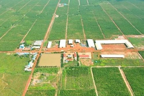 HAGL Agrico của Chủ tịch Trần Bá Dương còn vỏn vẹn hơn 3 tỷ tiền mặt
