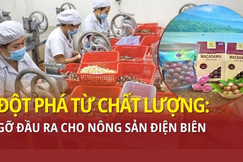 Đột phá từ chất lượng: Gỡ đầu ra cho nông sản Điện Biên