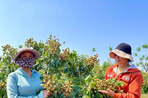Đổi đời trên quê mới