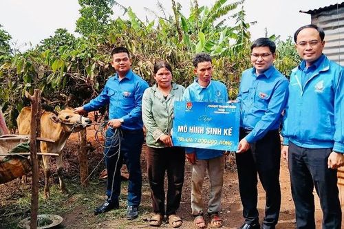 Hỗ trợ sinh kế, 'tiếp sức' thanh niên Gia Lai lập nghiệp