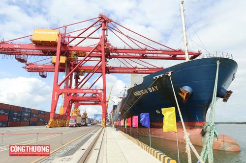 Quảng Nam đề xuất đưa Khu thương mại tự do Đà Nẵng về huyện Núi Thành