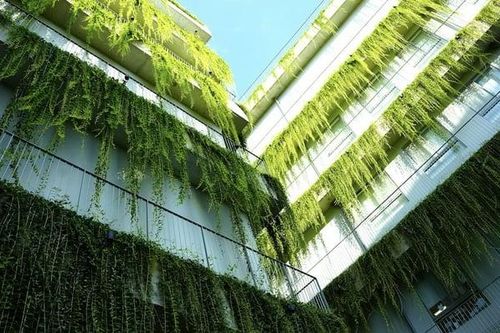 Đề xuất giảm thuế sử dụng đất đối với công trình xanh