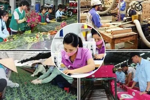 Kinh tế tư nhân TP. HCM trong kỷ nguyên vươn mình