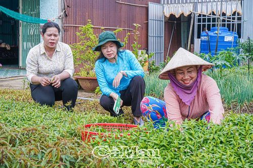 Giúp dân thoát nghèo bền vững