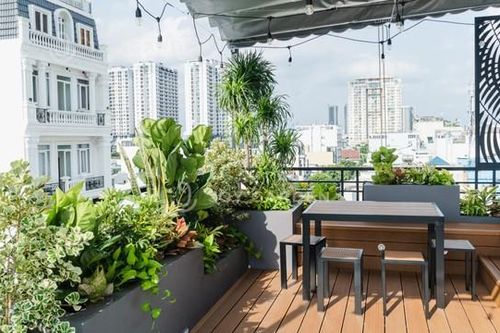 Trồng cây ban công: Chọn cây theo hướng nhà và các lưu ý