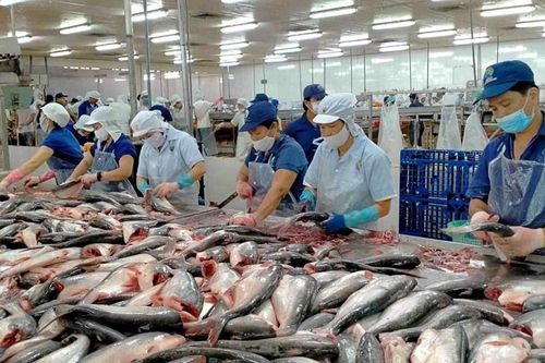 Thủy sản Nam Việt (ANV) giải thể công ty con sản xuất phân bón và hợp chất ni tơ