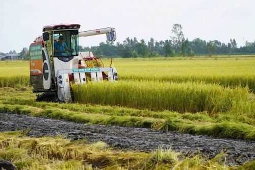 Cấp ủy tiên phong trong xây dựng nông thôn mới