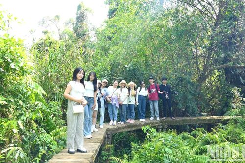 Đồng Tháp đón 112.000 lượt khách du lịch trong dịp lễ