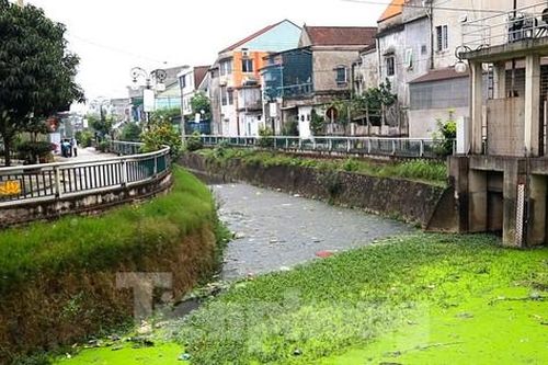 Con kênh bao quanh thành cổ Vinh đen đặc, bốc mùi: Đơn vị quản lý nói gì?