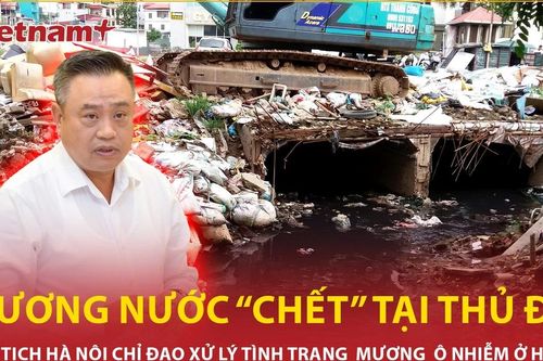 Chủ tịch Hà Nội chỉ đạo xử lý vụ mương nước ô nhiễm chảy giữa khu dân cư thủ đô