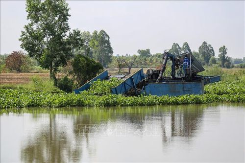 Tây Ninh xử lý phần lớn lục bình mọc dày trên sông để khơi thông dòng chảy