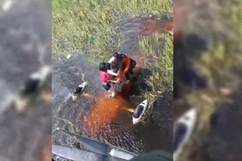 Máy bay rơi xuống đầm lầy toàn cá sấu, 5 hành khách sống sót kỳ diệu