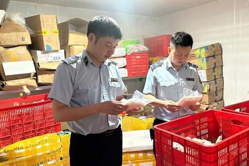 Liên tiếp phát hiện thực phẩm đông lạnh không rõ nguồn gốc xuất xứ