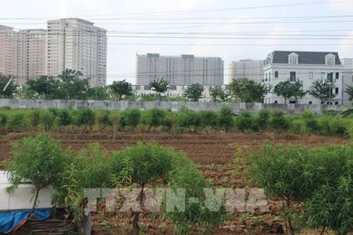 Xây dựng 21 Nghị định và Thông tư về đất đai liên quan đến chính quyền 2 cấp