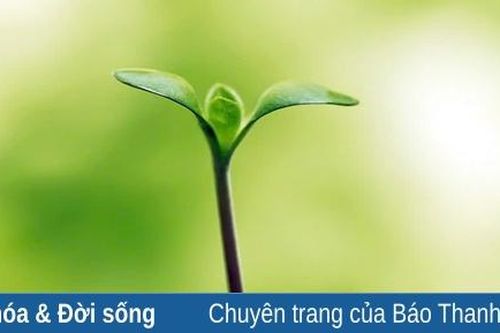 Chạm vào ngày mai... từ hôm nay