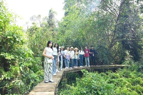 Toàn tỉnh Đồng Tháp đón hơn 120 ngàn du khách đến tham quan, du lịch dịp nghỉ lễ 30/4 và 1/5