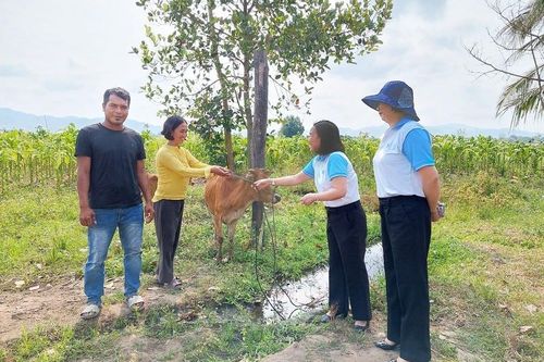 Hành trình mới từ dòng vốn nhỏ
