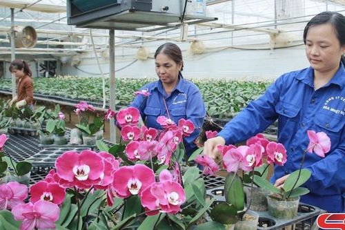 Khơi dậy tiềm năng, trí tuệ người lao động